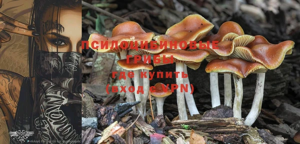 спайс Осинники