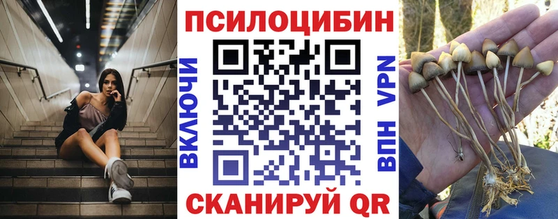 Галлюциногенные грибы мухоморы OMG ONION Касимов