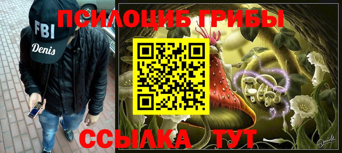 Псилоцибиновые грибы мицелий Касимов