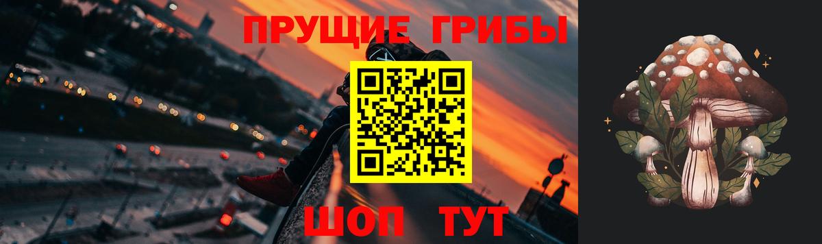 Касимов  Псилоцибиновые грибы Cubensis  Вход с VPN 