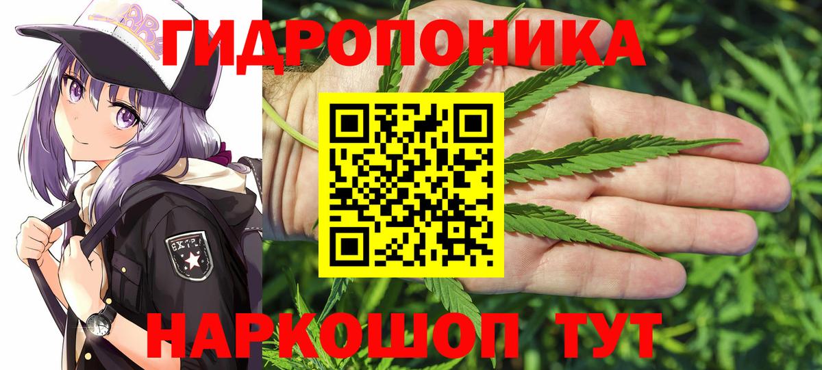 Касимов  Шишки марихуана Ganja  Марихуана планчик  Вход с VPN 